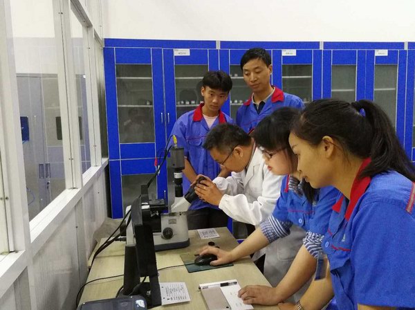 新宝GG—创造事业平台