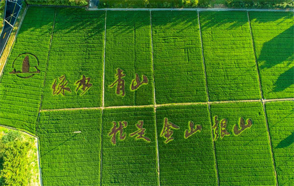 新宝GG—创造事业平台