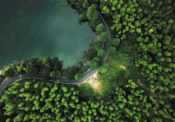 新宝GG—创造事业平台