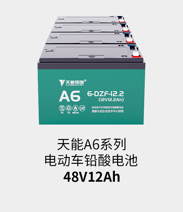 新宝GG电池48v12ah